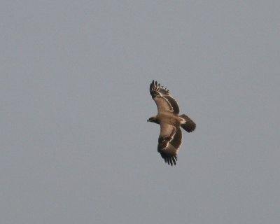 g3/90/590590/3/121867051.4bLY6bD0.jpg