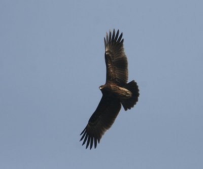 g3/90/590590/3/121972245.EbDTnjJU.jpg
