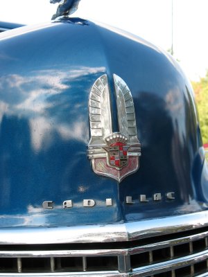 41 Cadillac symbol