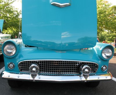 56 Thunderbird grill