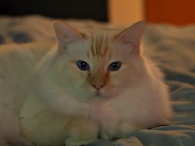 g3/90/619290/3/101397673.Fd0hZQSg.jpg