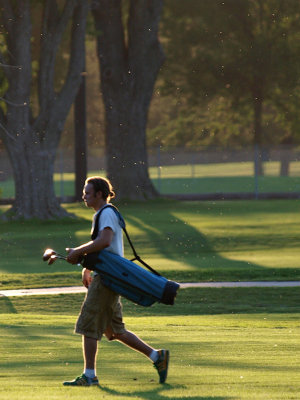 Golf Fairies Surrounded Him.jpg