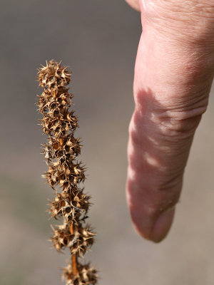 Signs of Fall and a Finger.jpg