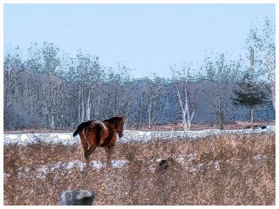 Horse in Tumbleweed Pasture