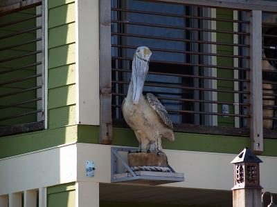 Wooden Pelican on a House