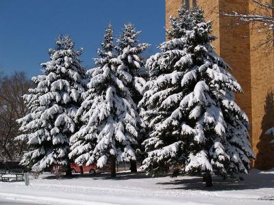 Perfect SkyPerfect Snow Perfect Sunshine