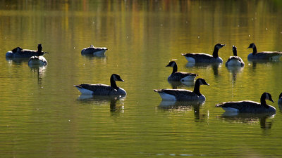 Basking in the Sun Much Needed Rest Too