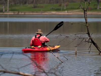 Paddling Away_2.jpg