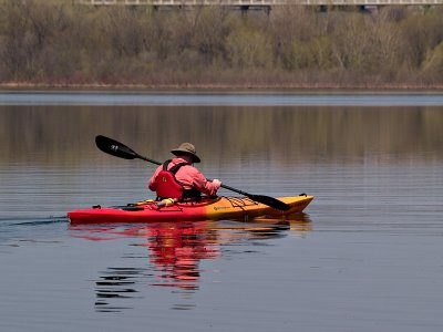 Paddling Away_1.jpg