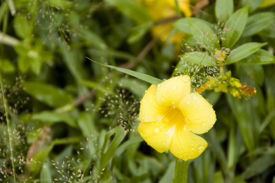 g3/90/659490/3/66791782.J695LrsQ.jpg