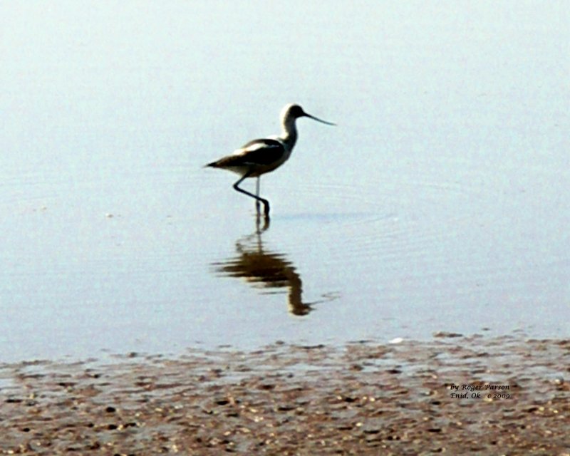 0191 SP.JPG