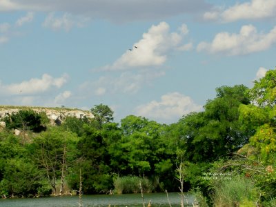 g3/90/665890/3/123422377.Bj9LoFg6.jpg