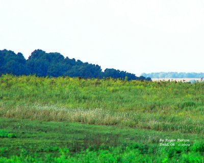 Tallgrass Prairie Preserve
