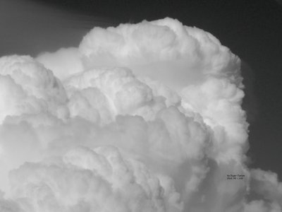 g3/90/665890/3/123453346.9Uq4CR5d.jpg