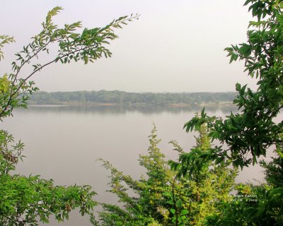 g3/90/665890/3/123718486.NSQLrgOg.jpg