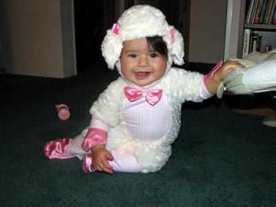 Halloween Sheep