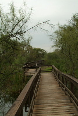 Resaca Boardwalk