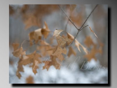 D700 ex-3.jpeg