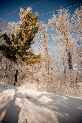 DSC_0833.jpg