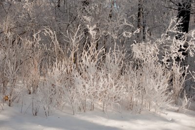DSC_0842.jpg
