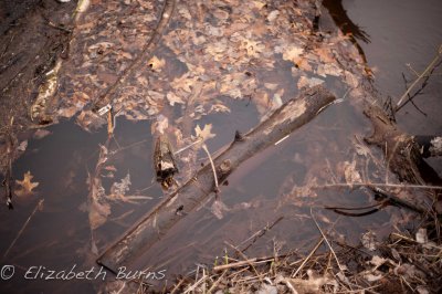 DSC_1232.jpg