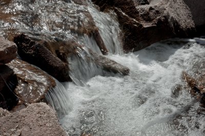 DSC_0983.jpg