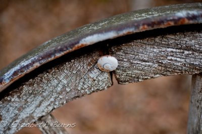 DSC_1461.jpg