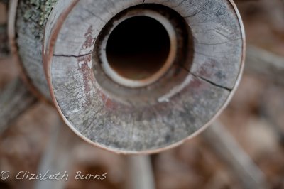 DSC_1464.jpg