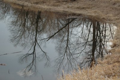 water reflection.jpg