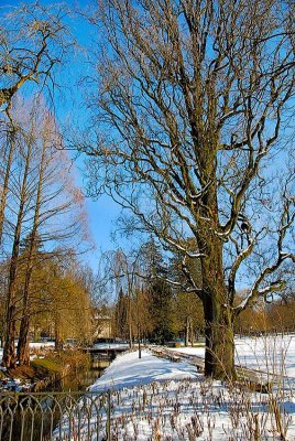 _DSC0012.jpg