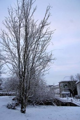 _DSC0028.jpg