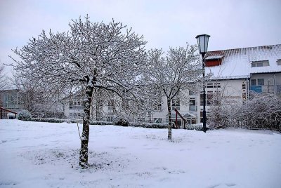 _DSC0037.jpg