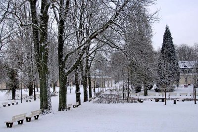 _DSC0043.jpg