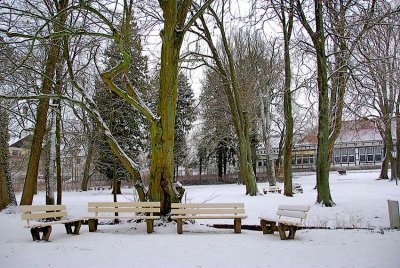 _DSC0060.jpg