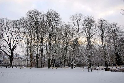 _DSC0062.jpg