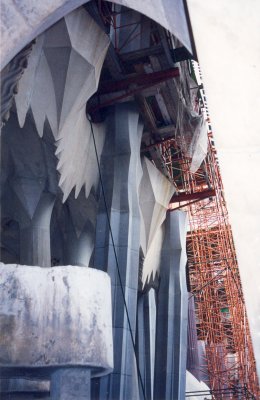 g3/90/681990/3/120727564.4G4NTKYl.jpg