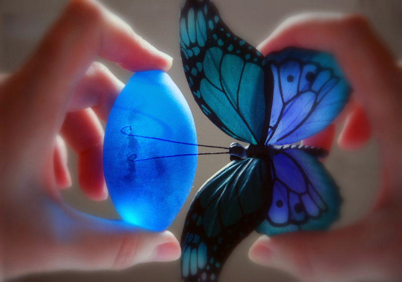 The butterfly effect...
