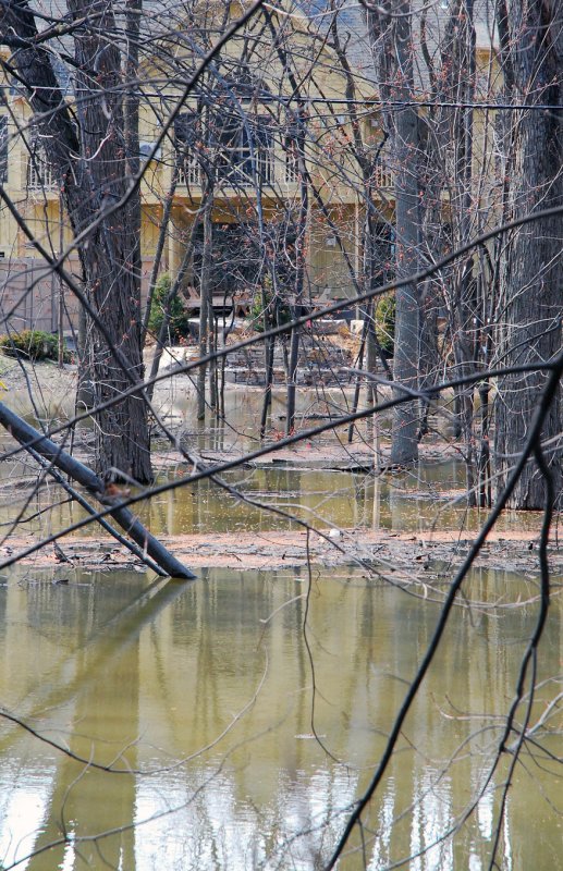 Un jardin deau...
