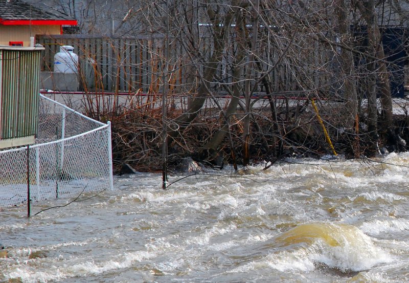 Free swimming pool...