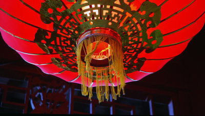 Les lanternes rouges du jardin chinois.