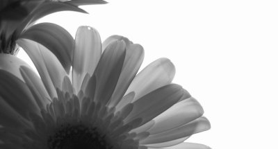 g3/90/685690/3/109738582.7aL8vcdJ.jpg