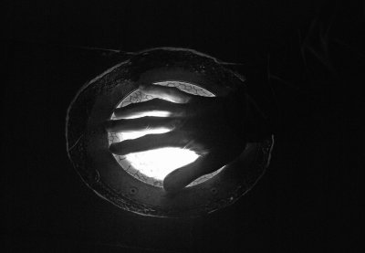Palm reading...