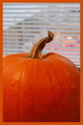 Ze Pumpkin - 31 octobre