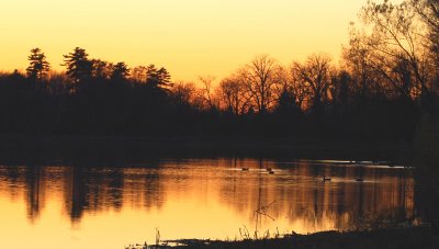 Impression de soleil...