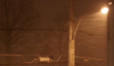 Snowflakes in the wind...