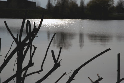 g3/90/685690/3/96622566.z3sbbPTw.jpg