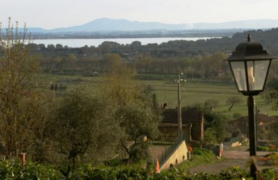 View from the garden