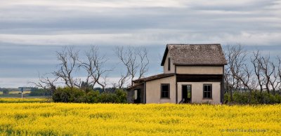 20090729-AbandonedHouse001a.jpg