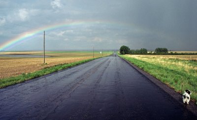 1979-DogRainbow.jpg