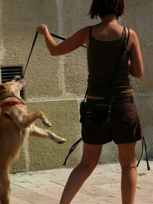 Bazilika Szfvr 078.jpg